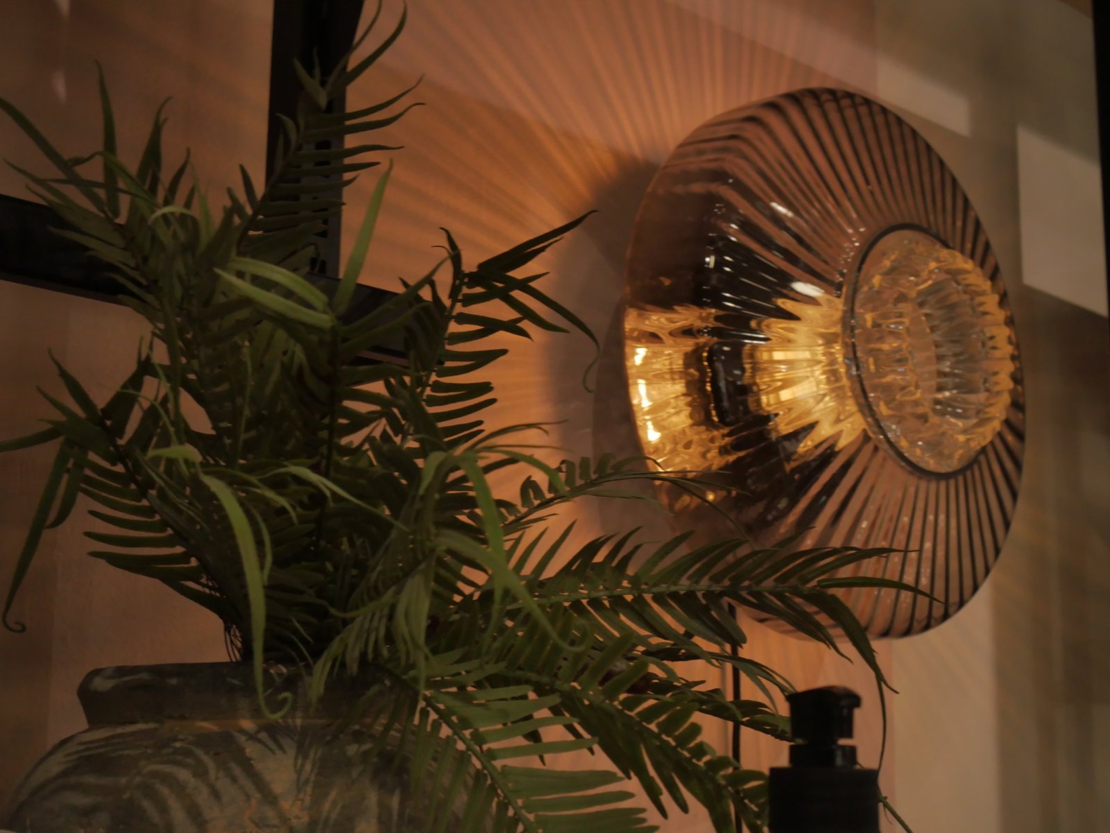 Ribbed glass wall lamp casting light rays behind a fern